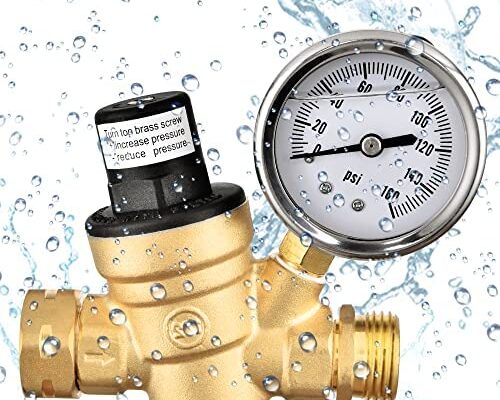 RV Water Pressure Regulator